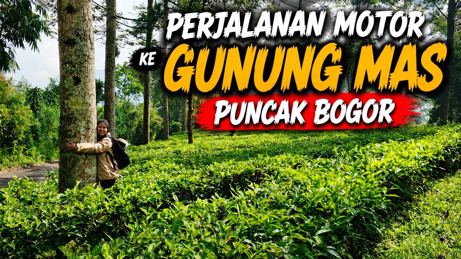 Naik Motor ke Gunung Mas Puncak Bogor Ternyata Perjalanannya Seindah Ini